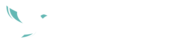 MAVIS PARTNERS株式会社