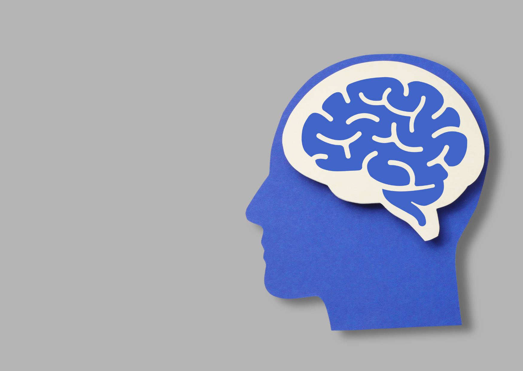 理解とは、線を引き、名前をつけることである。